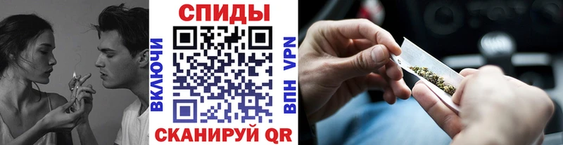 shop какой сайт  дарнет шоп  Чистополь  БУТИРАТ буратино  KRAKEN зеркало 