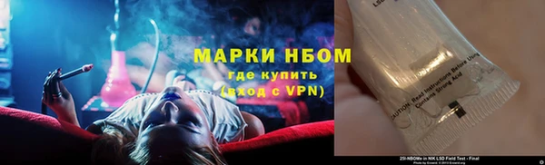 сатива Белоозёрский