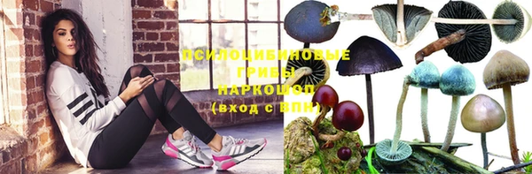 сатива Белоозёрский