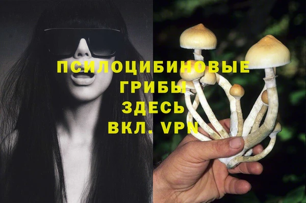 героин Белокуриха